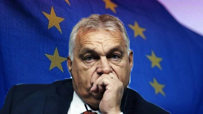 NextImg:Which Left-Wing NGOs Does Brussels Fund In Hungary (With Taxpayer Money) To Go After Orbán?