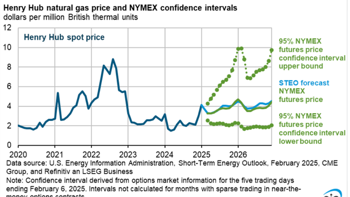 NextImg:Polar Vortex Forces EIA To Hike 2025 US NatGas Price Forecast By 20%