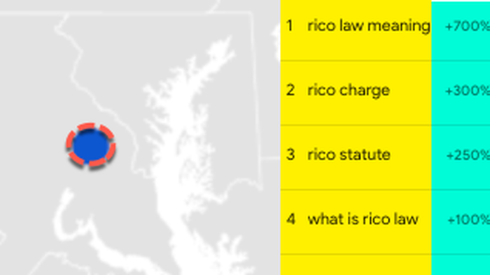NextImg:DC Internet Searches For "Criminal Defense Lawyer" & "RICO Law" Erupt As DOGE Drains Swamp