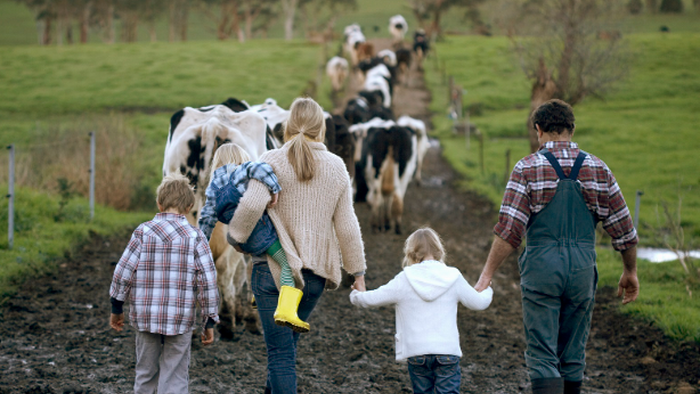 NextImg:Two Alarming Truths: Family Farms Vanishing & Centralized Beef Industry For RFK Jr. To Fix