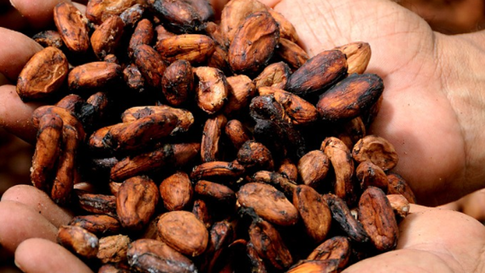 NextImg:"We're Very Tight": Western Cocoa Stockpiles At Record Low As Valentine's Day Arrives
