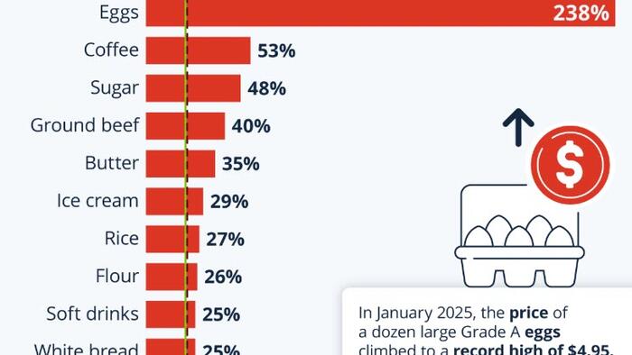 NextImg:Eggstortion! How US Food Prices Have Surged Since Biden Was Elected