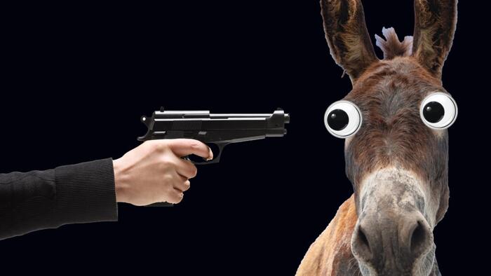 NextImg:VDH: How To Commit Democratic Party Suicide