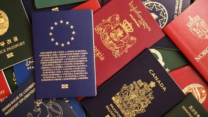 NextImg:Why The World Is Giving Up On Birthright Citizenship