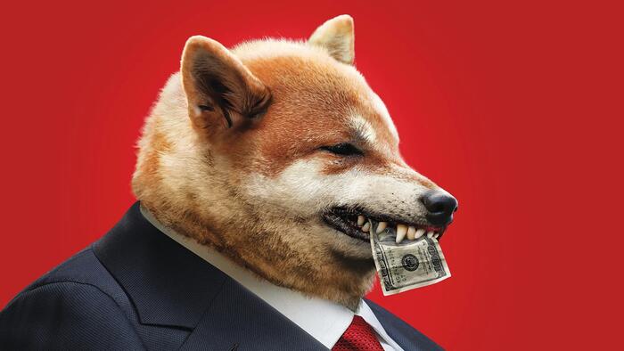 NextImg:DOGE Makes Math Great Again