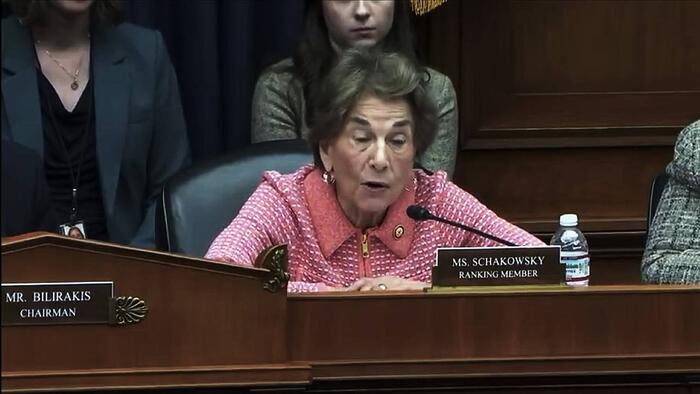 NextImg:Watch: Democrat DEI Brain-Rot Is A Lot Worse Than You Think...
