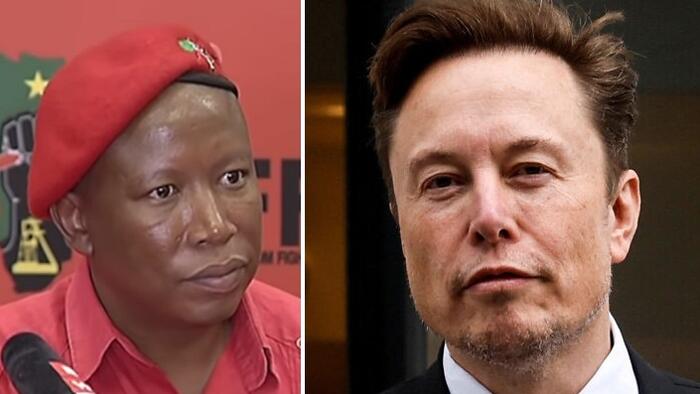 NextImg:Musk Slams 'Genocidal Lunatic' South African Leader For 'Chanting Kill The White Farmers'