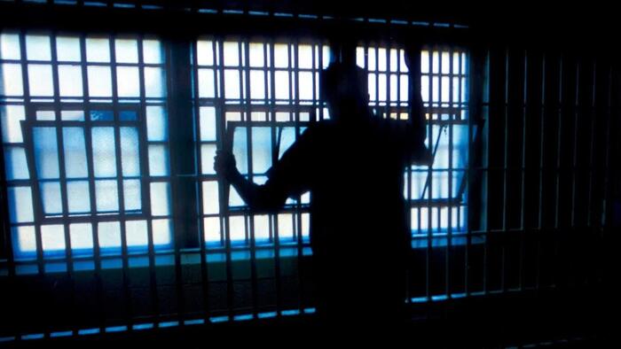NextImg:Missouri Truck Company Owner Gets 9 Years For PPP Fraud, Other Felonies