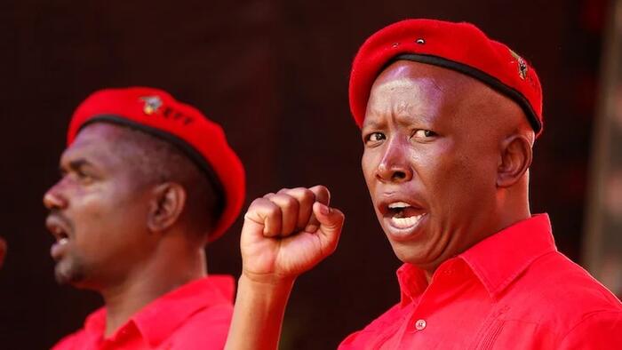 NextImg:Western Media Scrambles To Dismiss White Genocide Concerns In South Africa