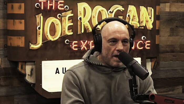 NextImg:Rogan: Elon Musk Will Relentlessly "Hunt Down" Corrupt Democrats