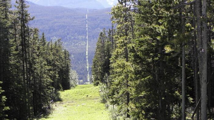 NextImg:Northern Border An "Undefended" And "Easy Target" As Canadian Coyotes Smuggle Migrants From Montreal To New York