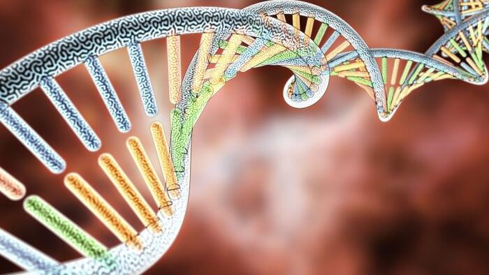 NextImg:FDA Lab Uncovers Excess DNA Contamination In COVID-19 Vaccines