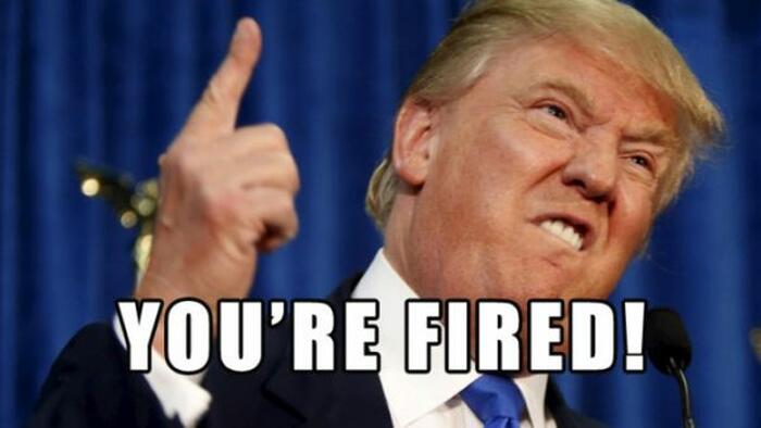 NextImg:How Many Federal Government Workers Has Trump Fired So Far?