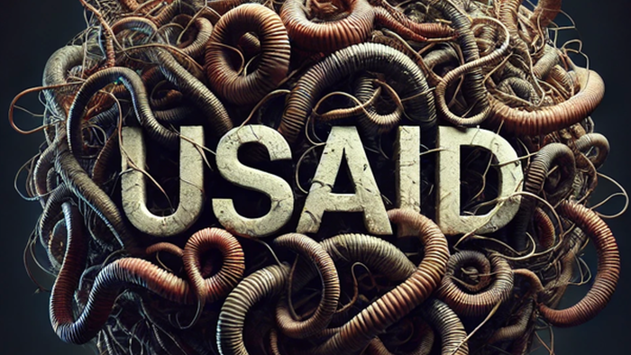 NextImg:Musk On DOGE Cuts: "USAID A Ball Of Worms, No Apple. Must Get Rid Of Whole Thing"