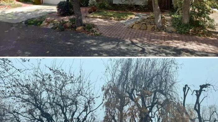 NextImg:Destroyed Home Among Pacific Palisades Fire Rubble Receives More Than 60 Offers