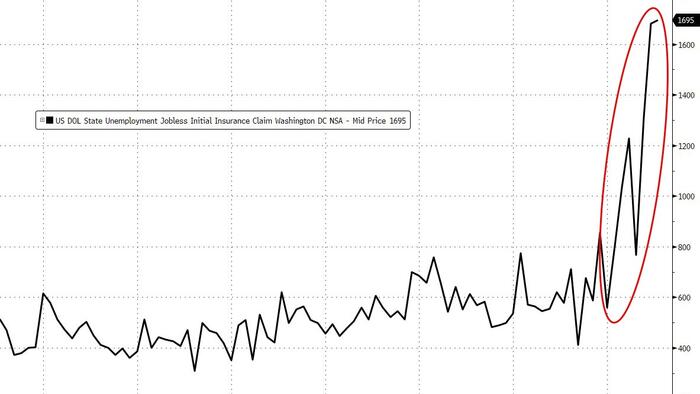 NextImg:DOGE Deep-State Demolition Path Evident In Soaring DC Jobless Claims