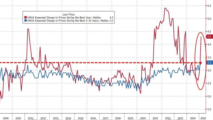 NextImg:Democrats Send UMich Inflation Expectations Exploding Higher In Feb