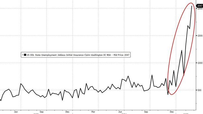 NextImg:DOGE Wins As DC Jobless Claims Soared Last Week