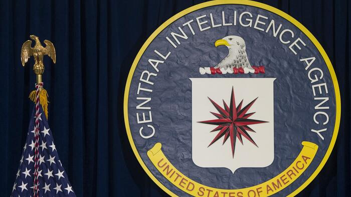 NextImg:Treasonous CIA Insiders "Might Be Motivated" To Betray America If DOGE Fires Them