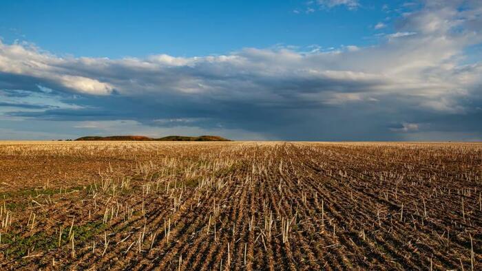 NextImg:How USAID Assisted The Corporate Takeover Of Ukrainian Agriculture