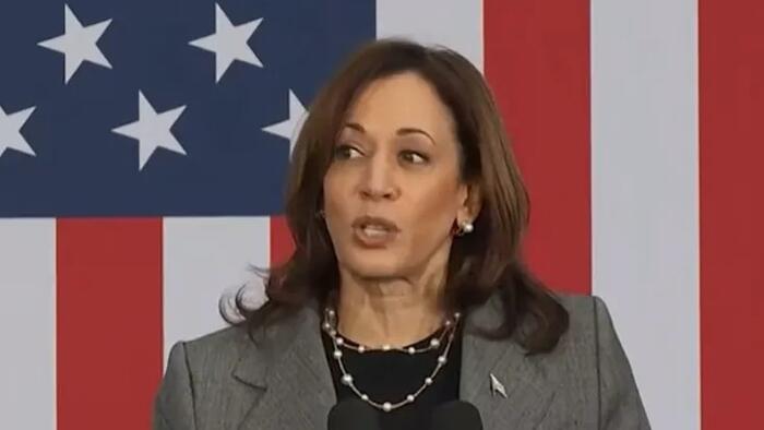 NextImg:Julie Kelly: The Real Scandal Behind The Latest DOJ Defection