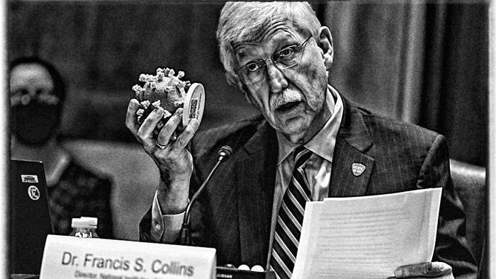 NextImg:Francis Collins Caught Sending False And Misleading Information To Congress