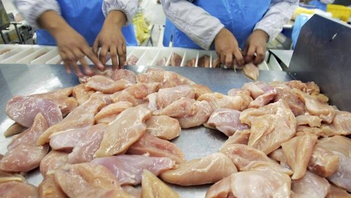 NextImg:Why Aren't Chicken-Meat Prices Rising Like Egg Prices?