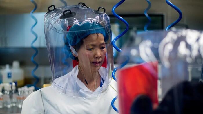 NextImg:"Bat Lady" Research Team In Wuhan 'Find' COVID-Like Virus That Can Infect Humans