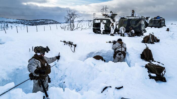 NextImg:NATO Troops To Defend Greenland? Report Says Europe Mulls Options To Deter Trump