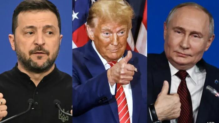 NextImg:Trump To 'Force' Zelensky To Agree On Ceasefire By Easter According To Alleged Leaked Peace Plan
