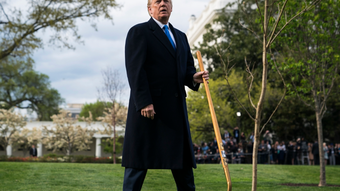 NextImg:Trump Moves To Bolster Nation's Lumber Supplies & Address National Security Risks
