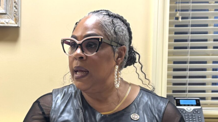 NextImg:Maryland Dems Lose All Sense Of Reality: Focus On Condoms For Kids, Reparations As Crises Pile Up