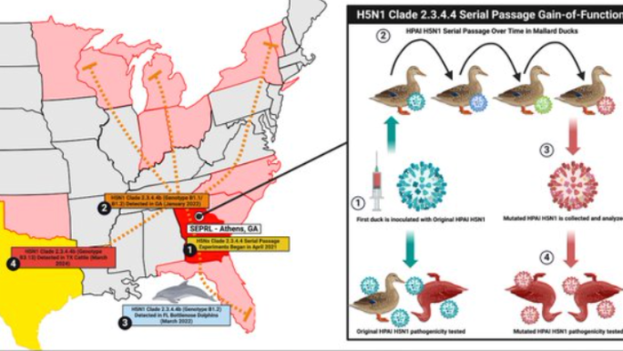 NextImg:Dr. Peter McCullough Links Bird Flu Outbreak To USDA Gain-Of-Function Experiment In Georgia