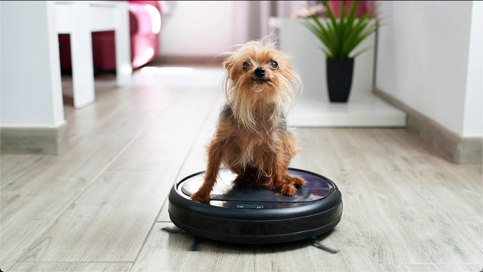 NextImg:iRobot Shares Crash As Going Concern Raises "Substantial Doubt" About Ability To Operate