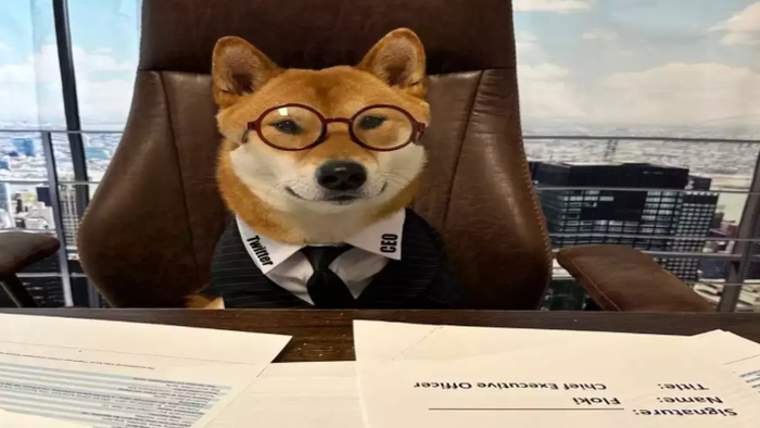NextImg:"Huge Win": Corporate America Embraces DOGE 