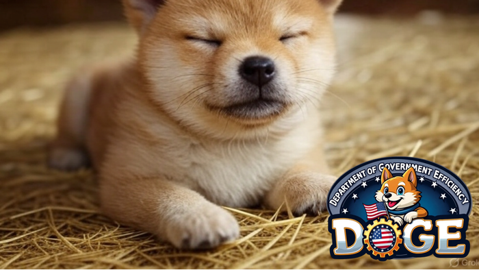 NextImg:Howard Lutnick Reveals How DOGE Was Conceived