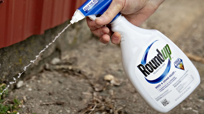 NextImg:Roundup Weedkiller Verdict: Georgia Jury Orders Bayer To Pay $2 Billion