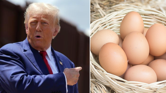 NextImg:Italy "Eager" To Help Trump Solve Biden's Egg Crisis
