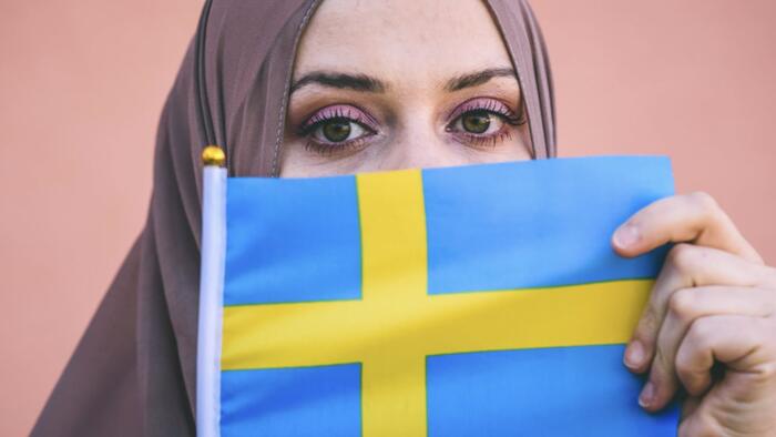 NextImg:Sweden Proposes Higher Income Requirement For Foreigners To Acquire Citizenship
