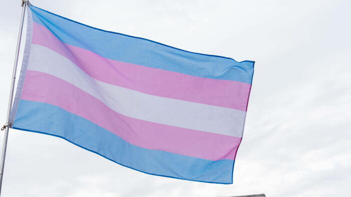 NextImg:CNN Retracts Fact-Check Over Trump's Transgender Mice Claim