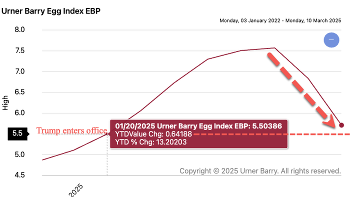 NextImg:Egg Prices Plummet After Trump Unveiled Plan To Reverse Biden's Bird Flu Mess
