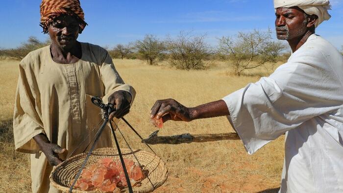 NextImg:Key Coca-Cola & Pepsi Ingredient 'Controlled By RSF Paramilitary In Sudan'