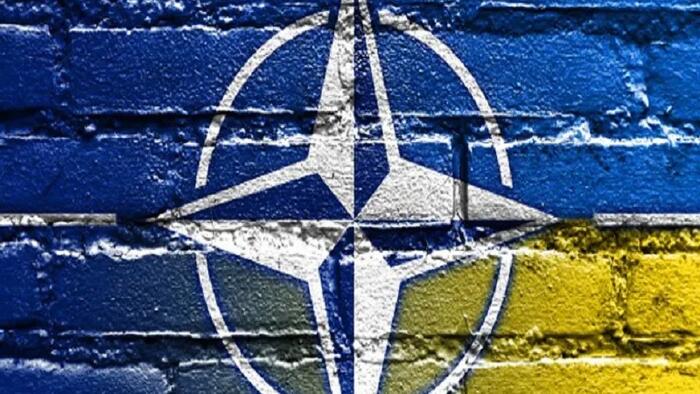 NextImg:Ukraine Already Kinda Has Article 5 Guarantees From Some NATO Countries