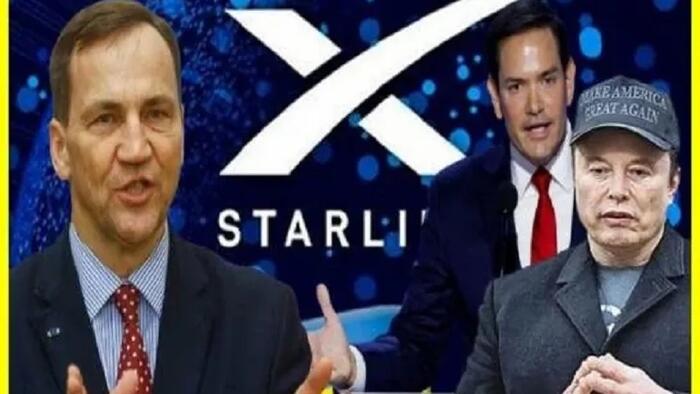NextImg:"Be Quiet, Small Man" - Musk & Rubio Wreck Polish FM Over Fake Starlink Scandal
