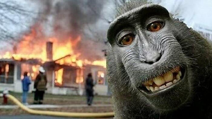 NextImg:Here Come The Chaos Monkeys