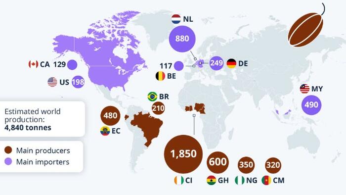 NextImg:Cocoa: The Global Trade Of "Brown Gold"