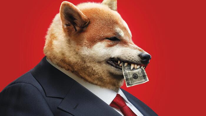 NextImg:'You Could Prosecute Thousands': Peter Thiel Explains How DOGE Is Exposing 'Left-Wing NGOs'