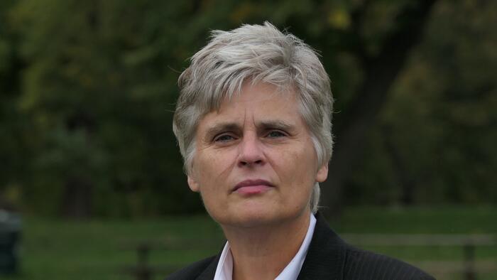 NextImg:Democrat County Attorney Lets Anti-Tesla Terrorist Off the Hook