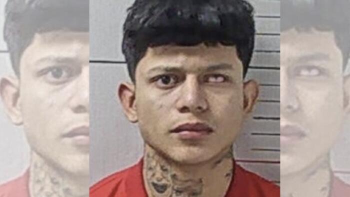 NextImg:Honduran Illegal Alien Charged With Stealing 40 Firearms From Tennessee Gun Store
