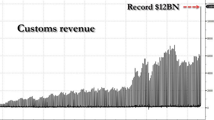 NextImg:Trump Trade War Results In Record $12 Billion Surge In Customs Revenues